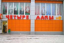 Купить Попугая Магазин 4 Лапы Купить Попугая Магазин 4 Лапы