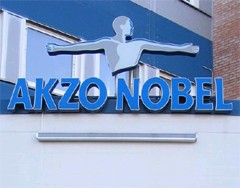 ���� ������ �������-�����