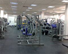 ������ ���� �������-�����