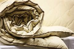 �������-����� ������