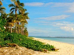 ������������� ��������� �������-�����